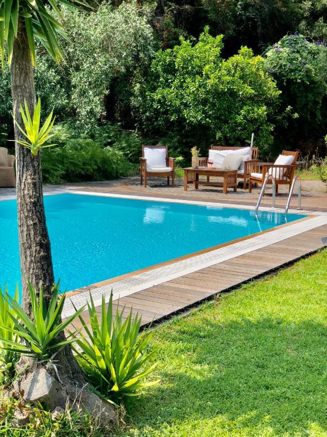 Gialos Villas 1-2 With A Private Pool 米克罗斯雅洛斯 外观 照片